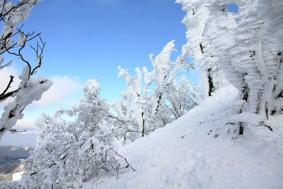 高見山山頂にて