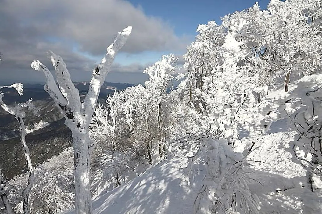 山頂付近