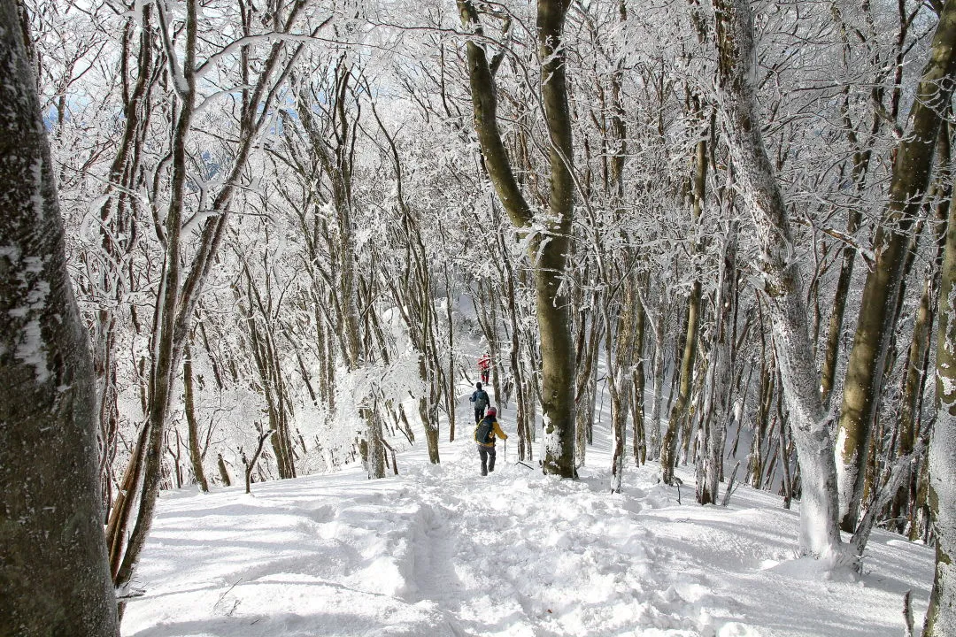 高見山から下る