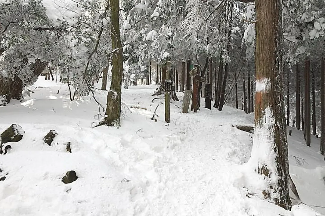 平野分岐