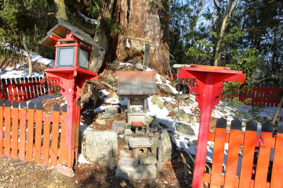 大杉大神