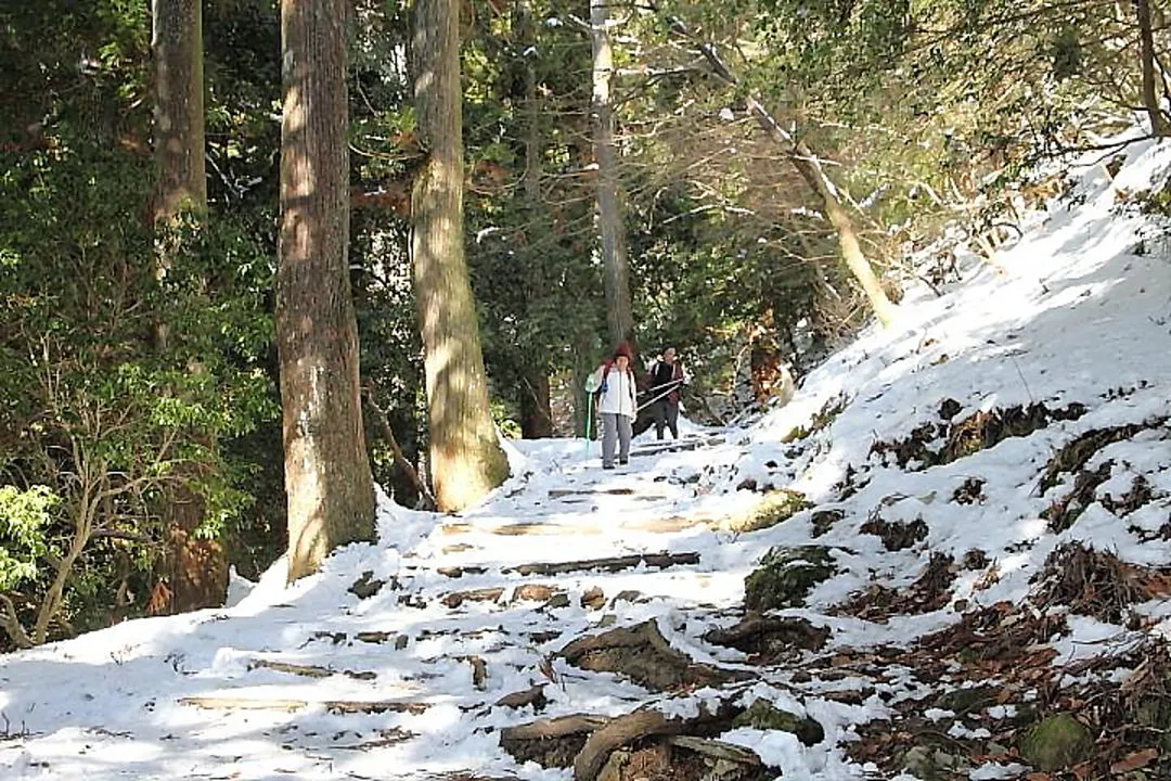 七合目から下って来た人