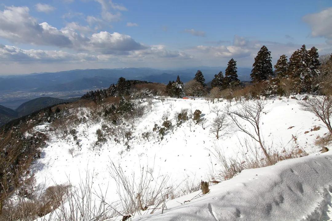 樒原への下山ルート