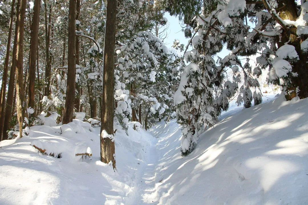 地蔵山へのルート