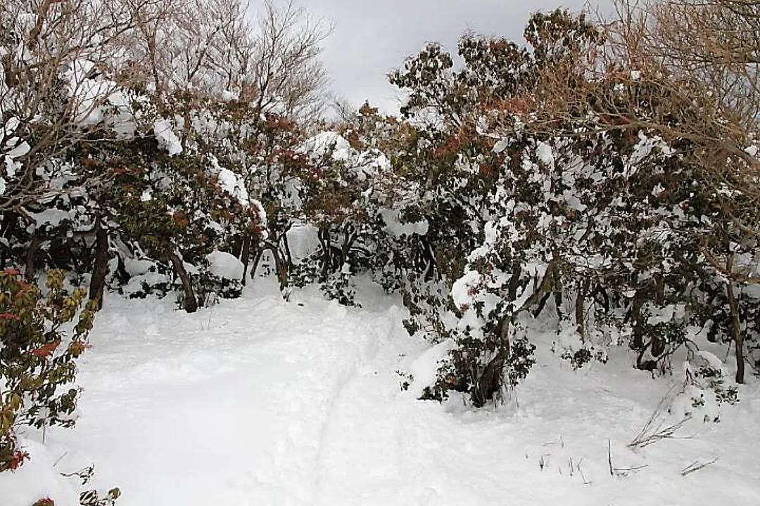 雪道を地蔵山へ