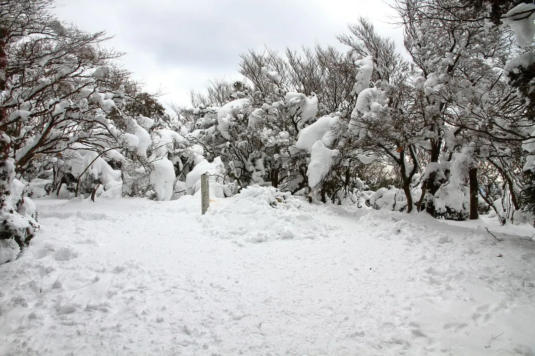 地蔵山山頂