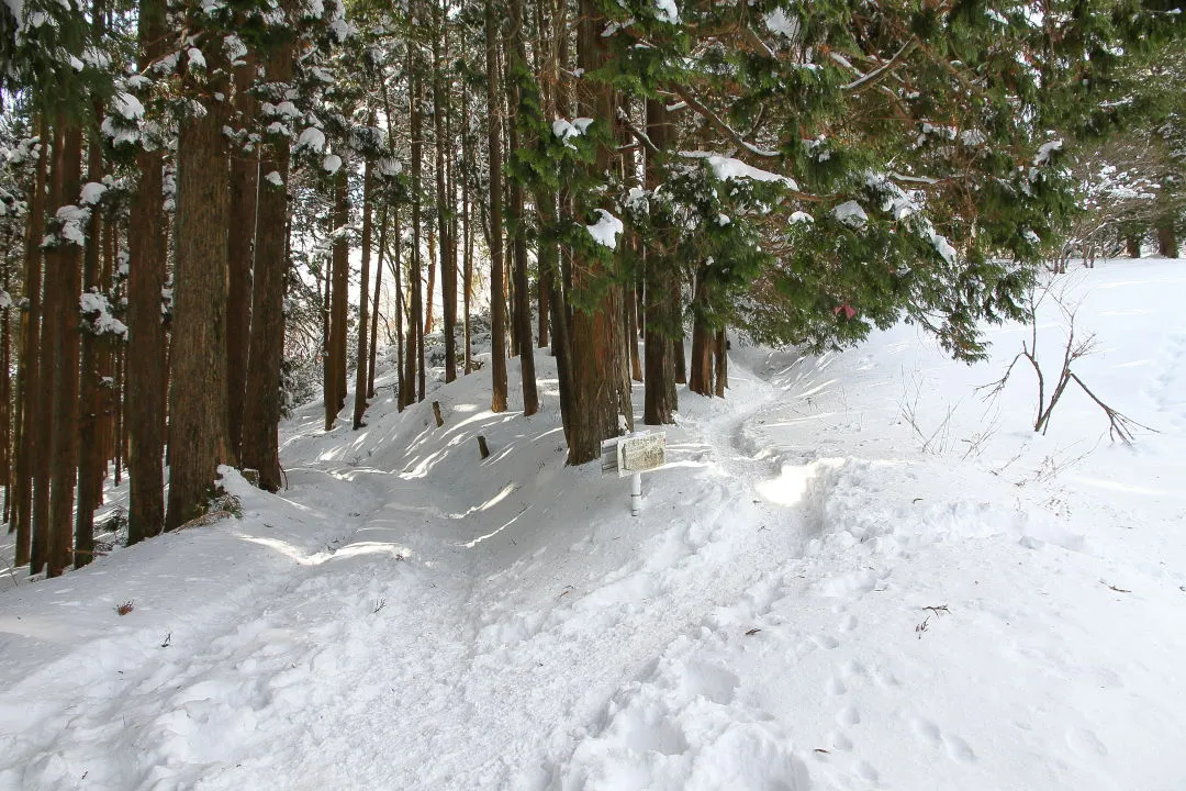 地蔵山への分岐