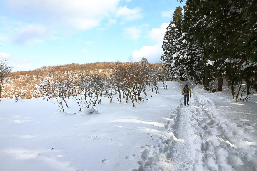 愛宕山へ戻る