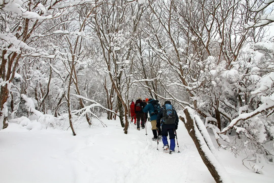 八丁平から山頂へ向う登山者