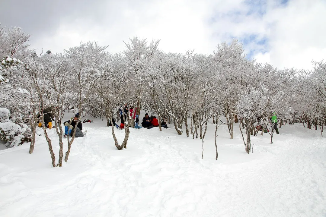 八丁平から山頂側