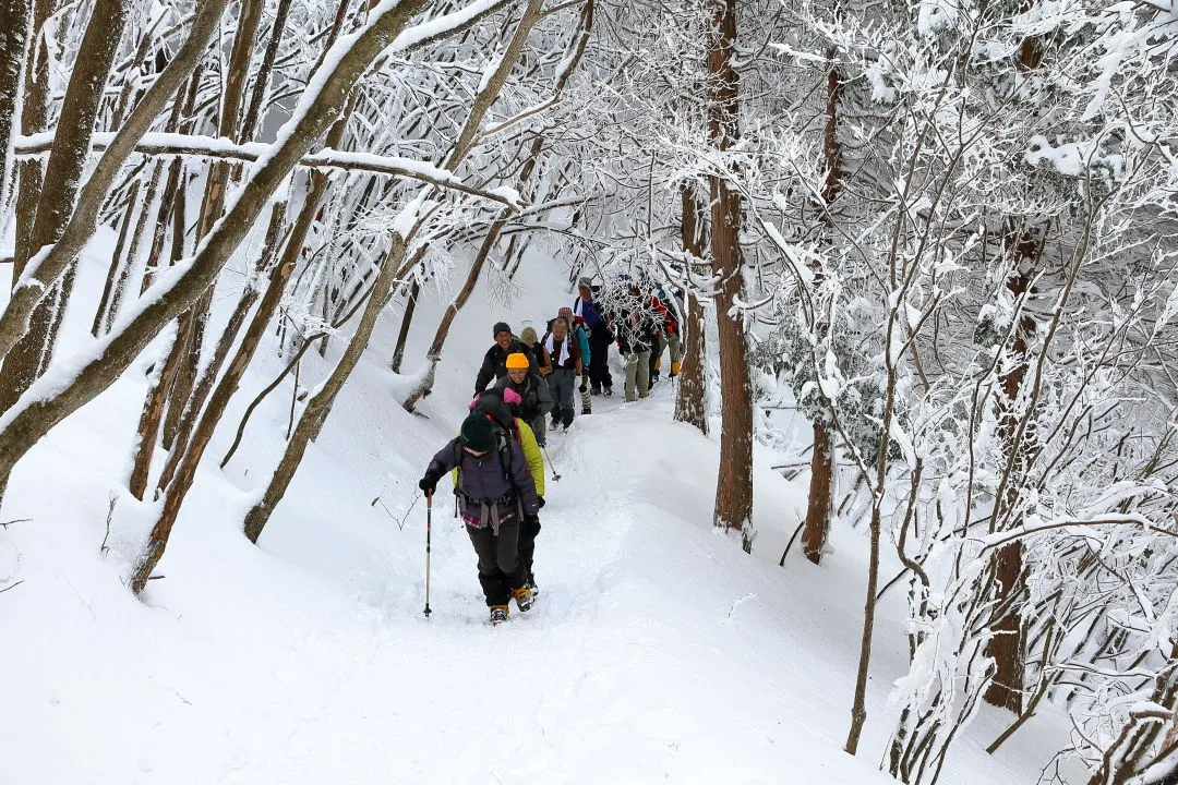 登山者の列