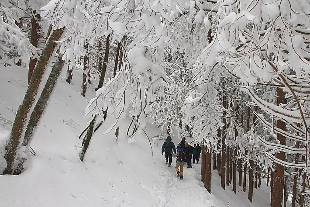 霧氷林の中を避難小屋に下山