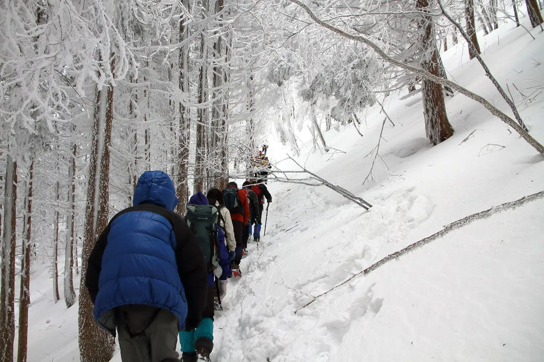 登山者の列