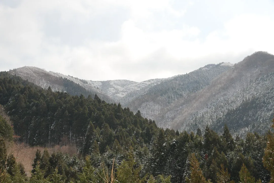 三畝山林展望台から