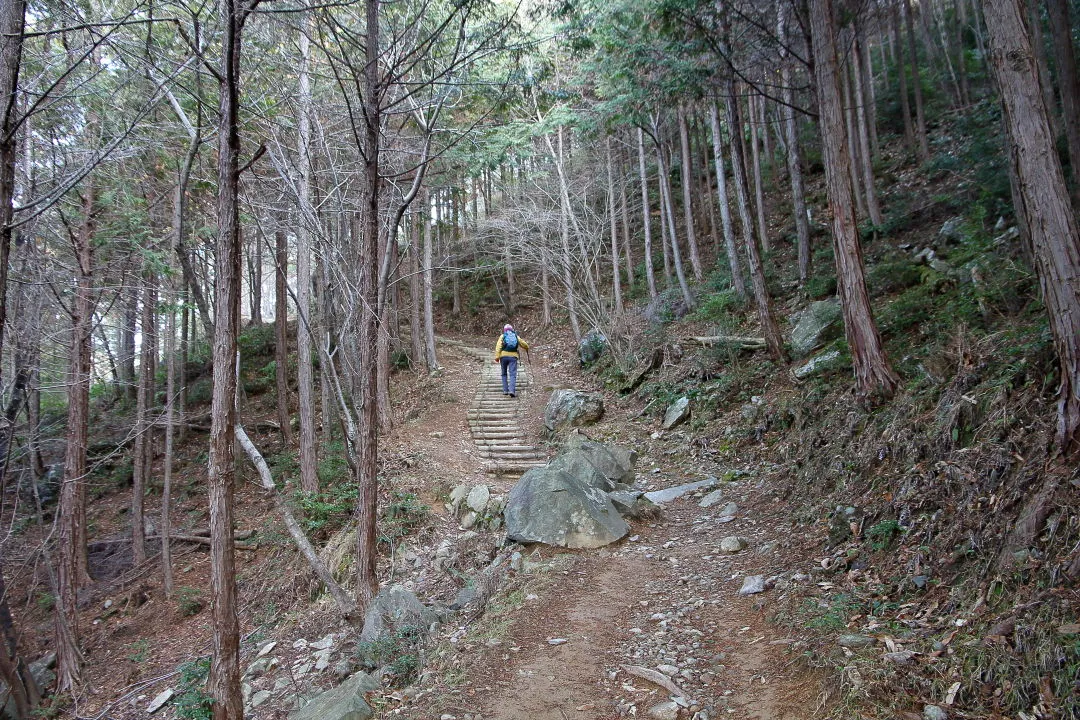 行者山への登山道