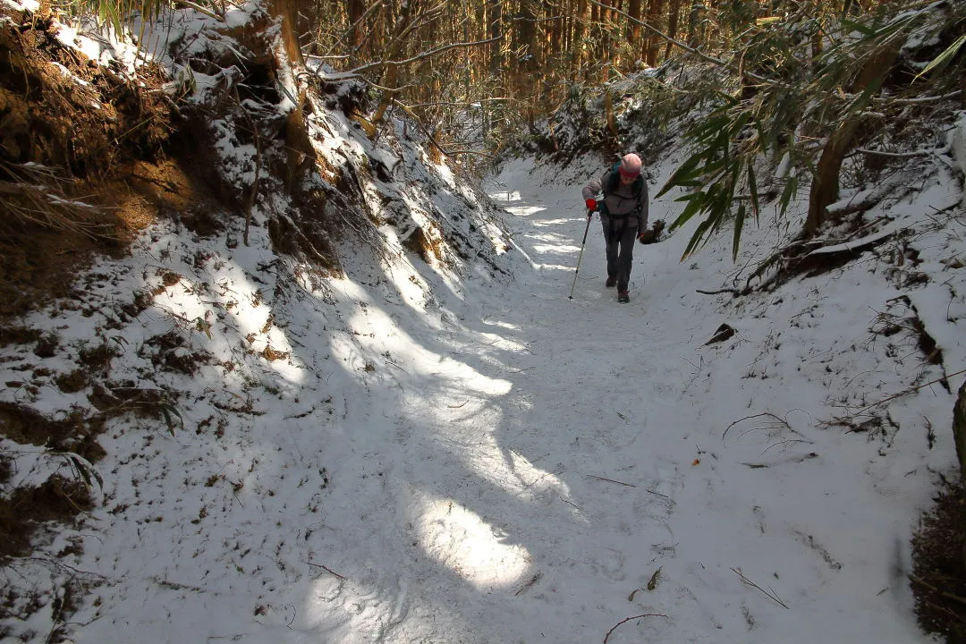 山頂近くの登山道