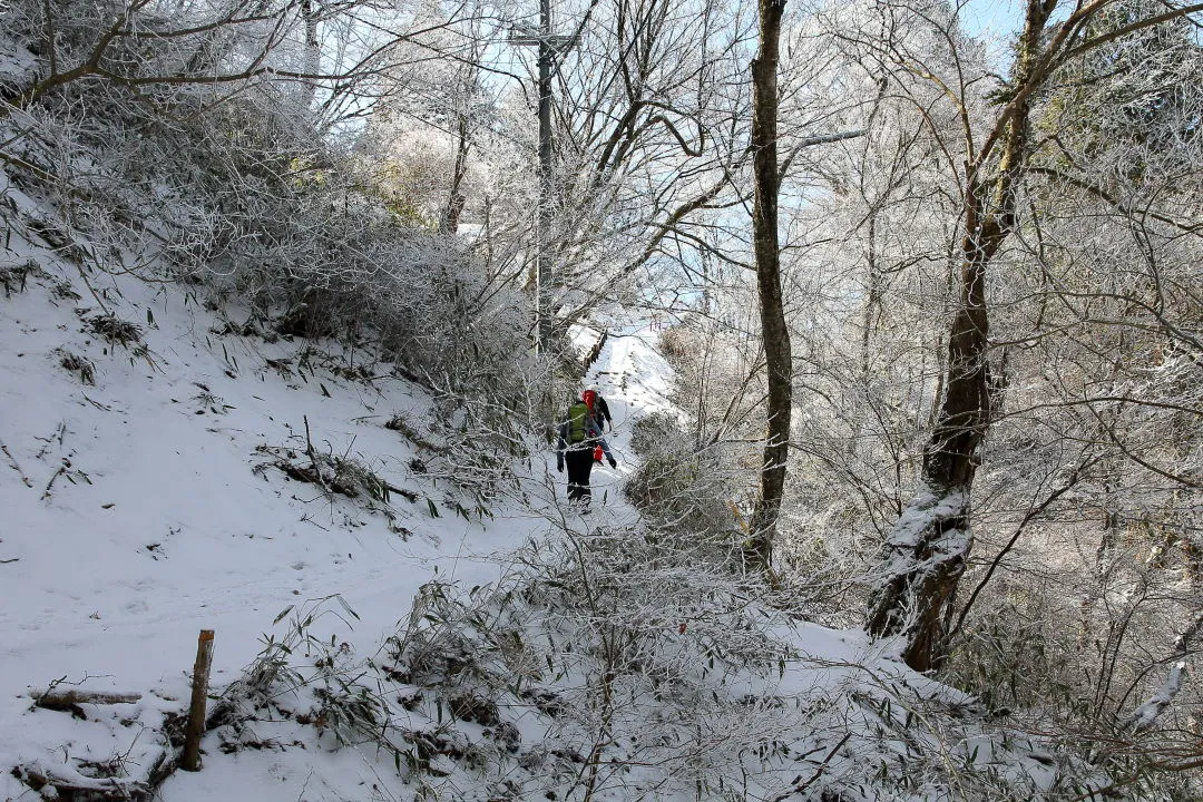 山頂広場手前