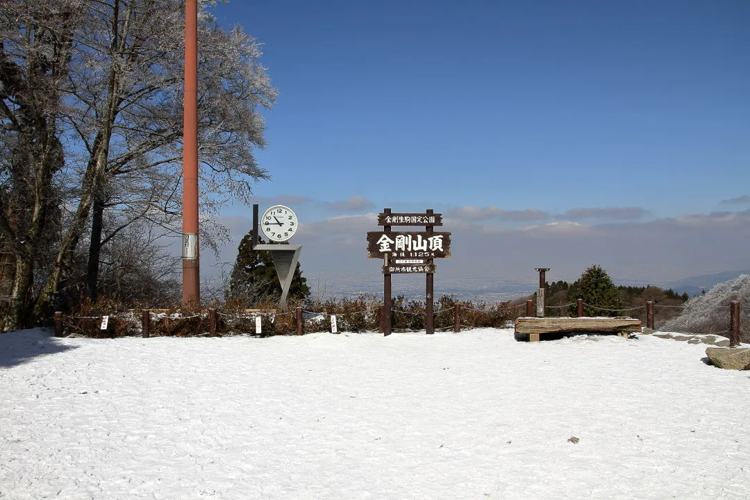 山頂広場