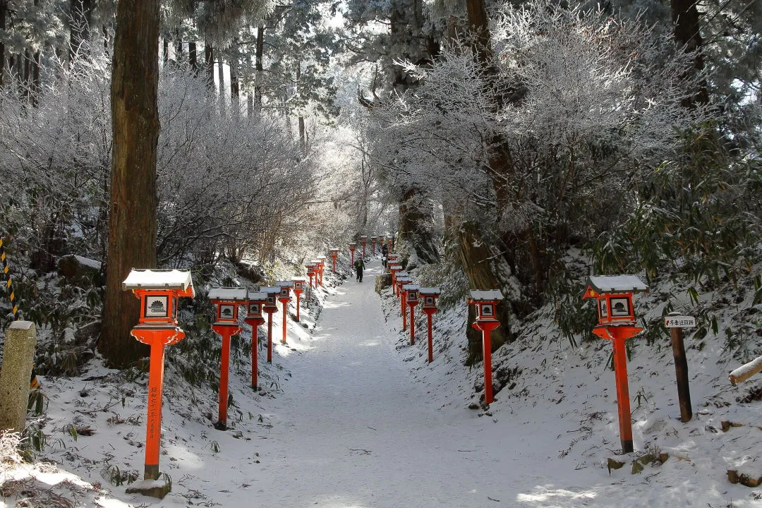 葛木神社参道