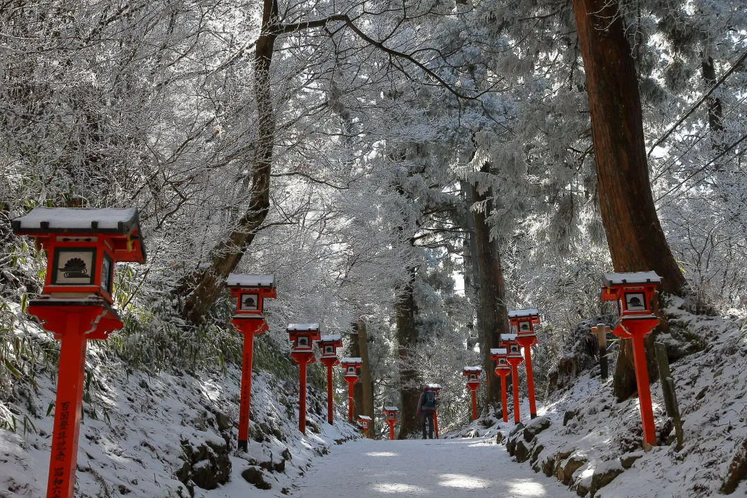 葛木神社参道