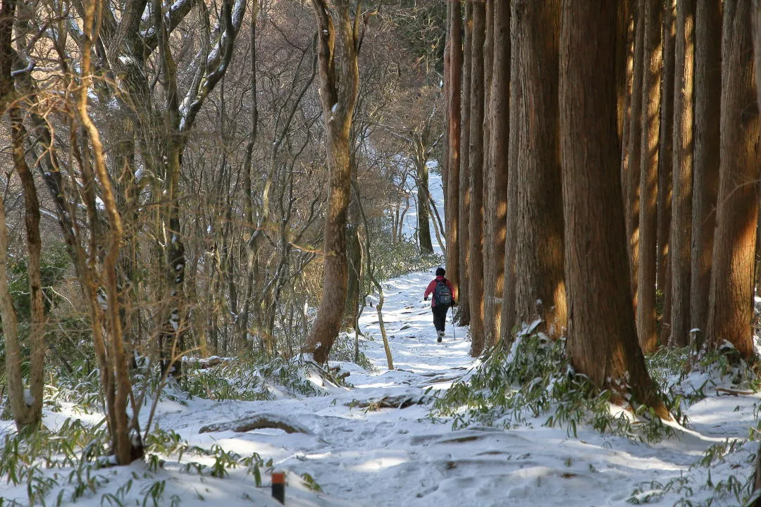 久留野峠へ