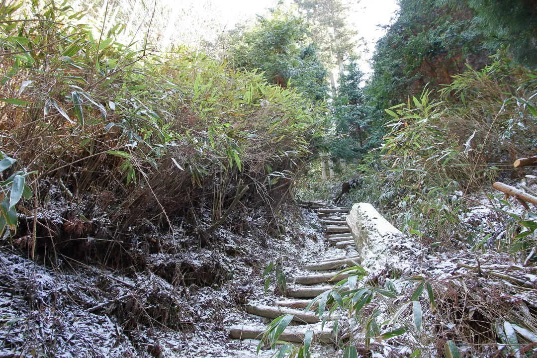 久留野峠を見上げる