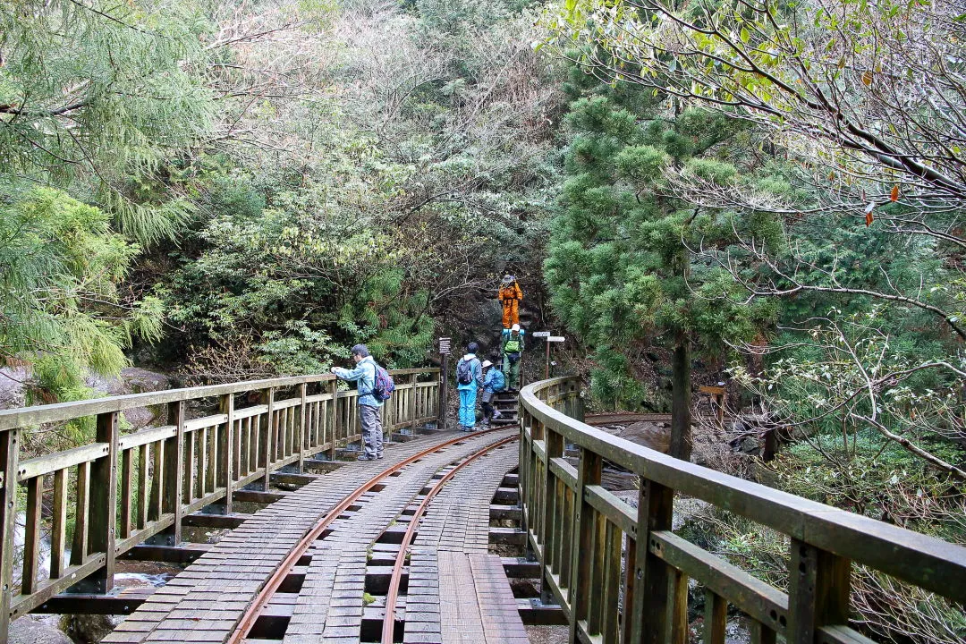 大株歩道入口