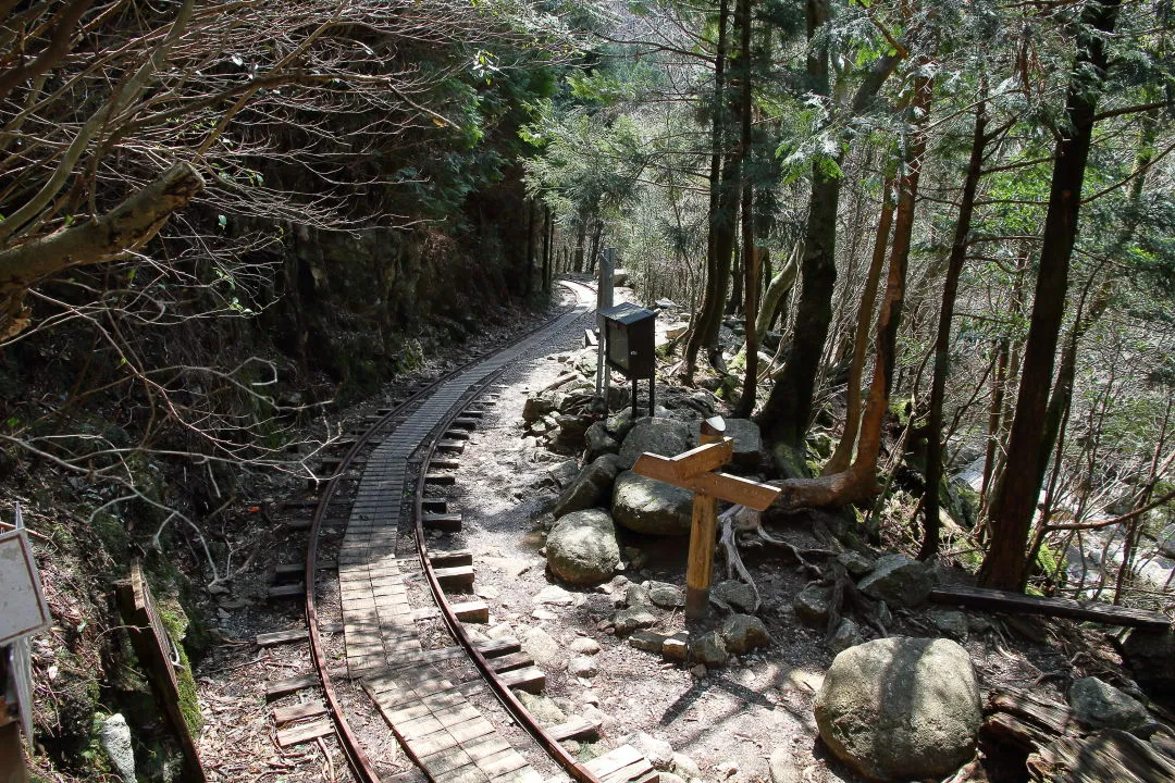 大株歩道入口部