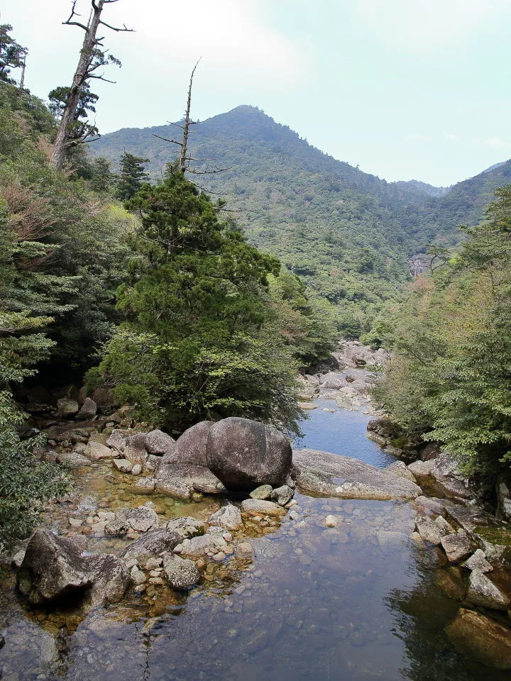 太忠沢