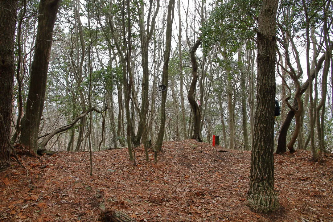 高尾山山頂