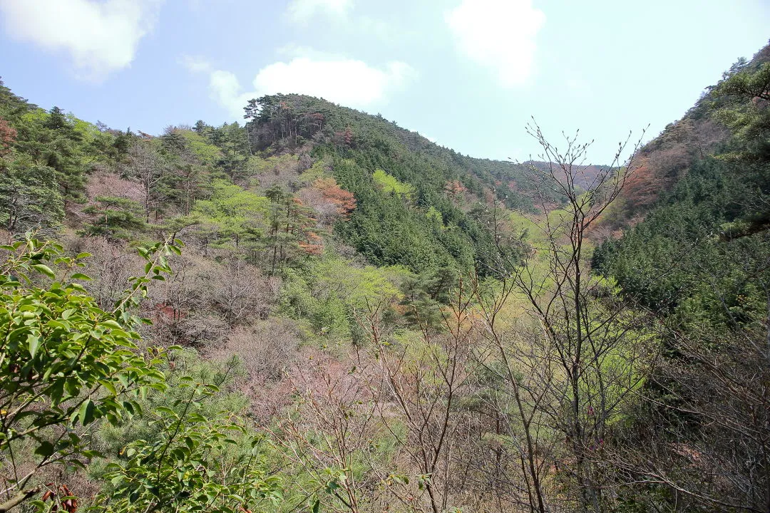 芽吹きの始まった六甲山