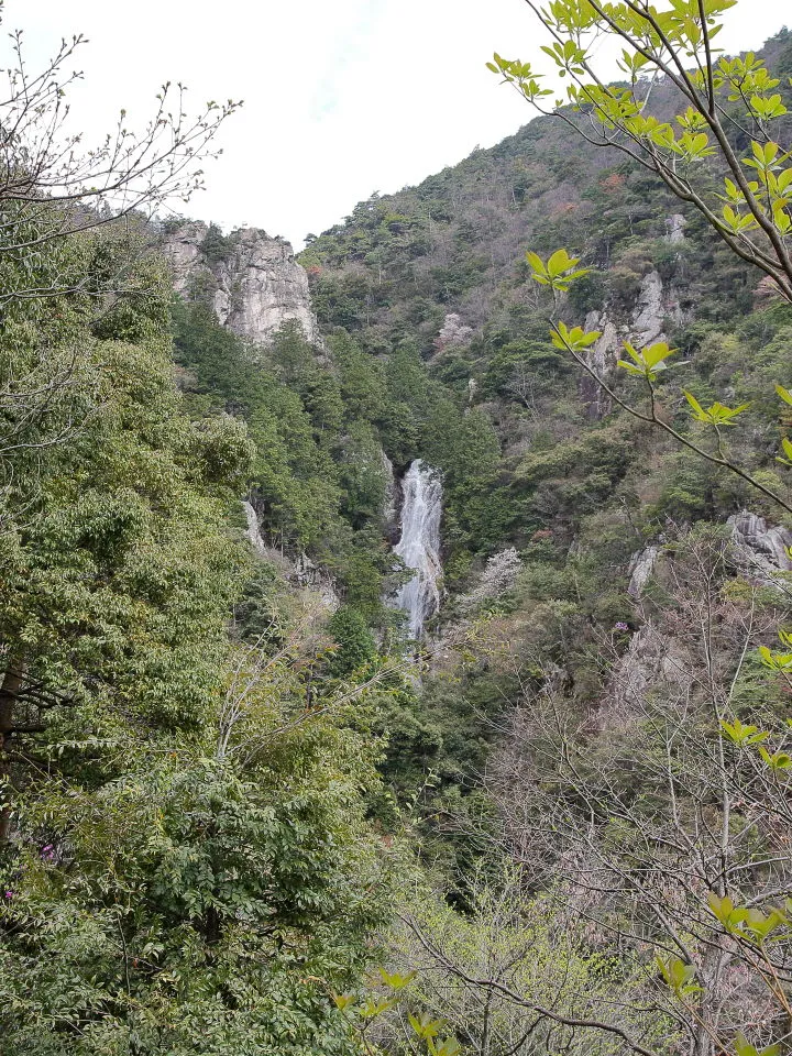 滝見台から楊梅滝