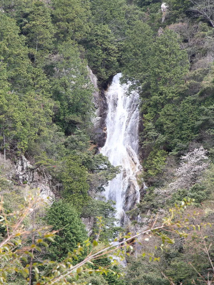 楊梅滝（雄滝）