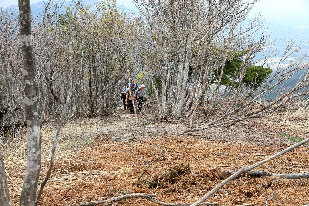 尾根道を登る