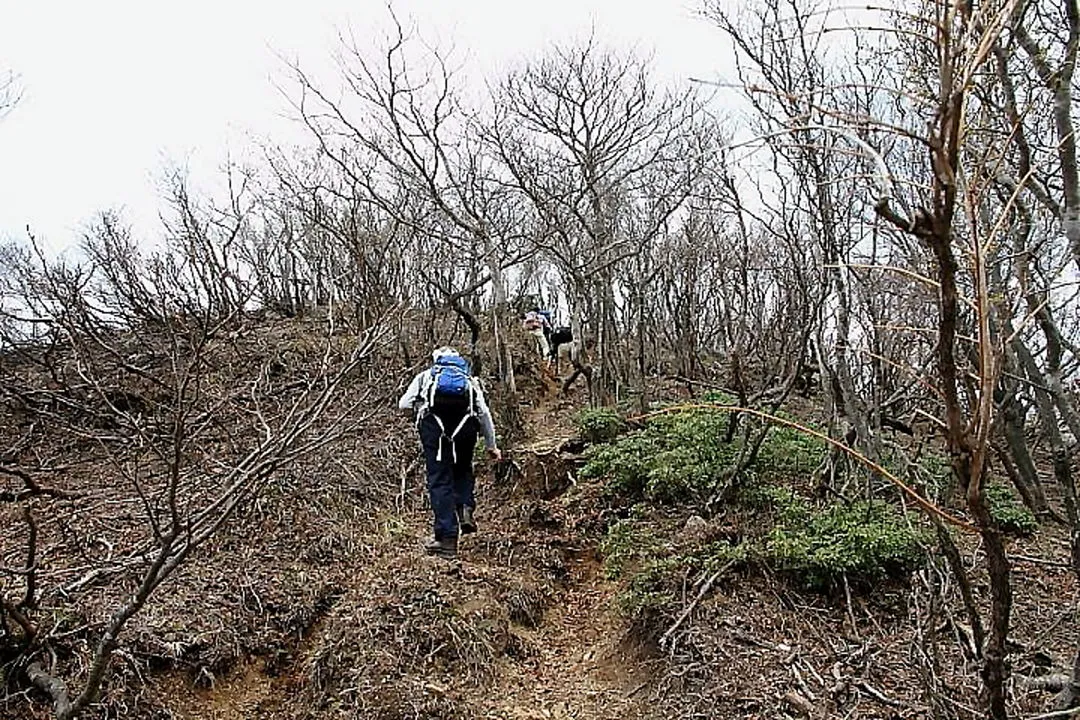 ヤケオ山山頂へ