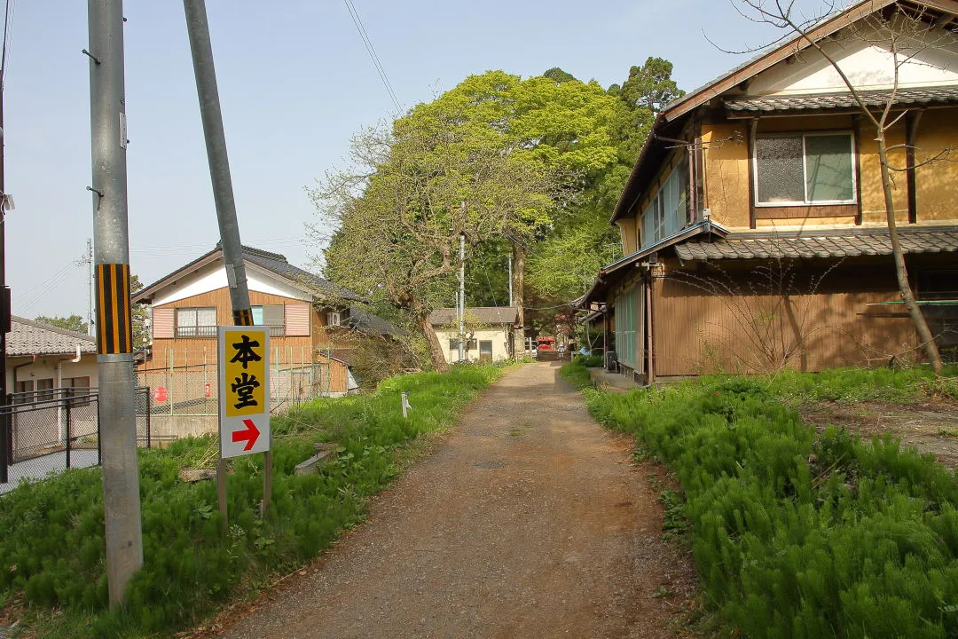 駐車場から松尾寺本堂へ