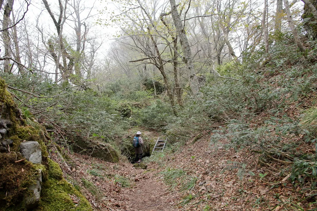 岩の間を抜ける登山道