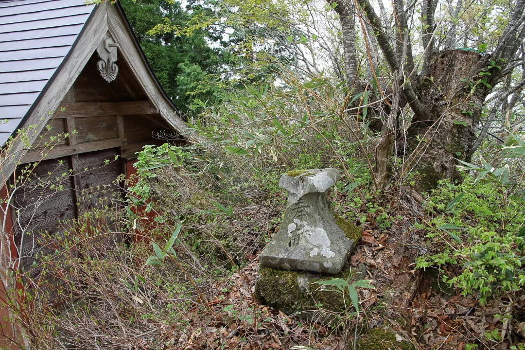 青葉山東峰山頂