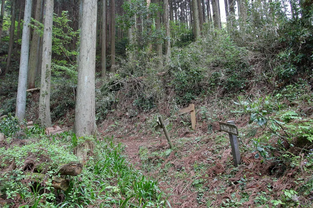 中山登山道と高野登山道合流部