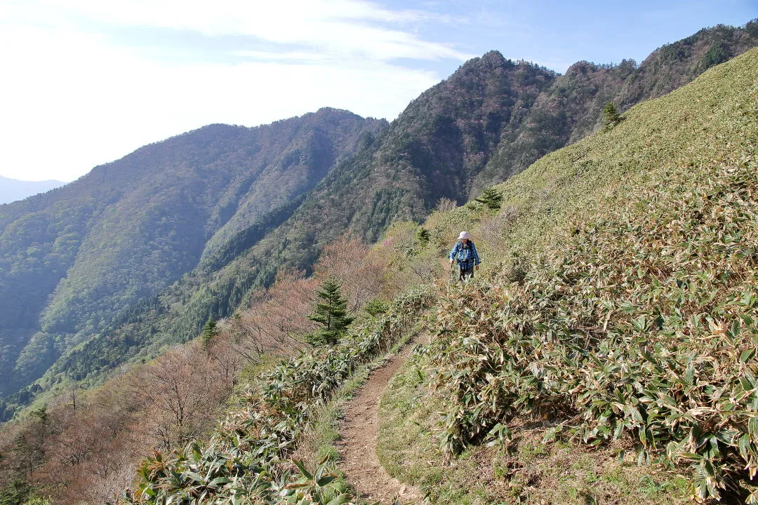 桑瀬峠への登山道