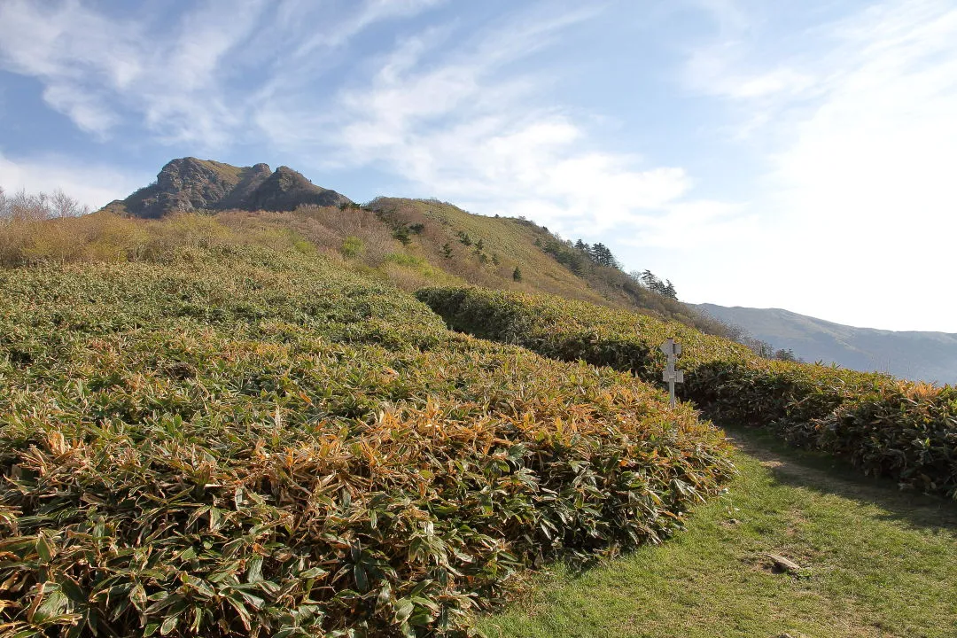 鷹ノ巣山を背に桑瀬峠