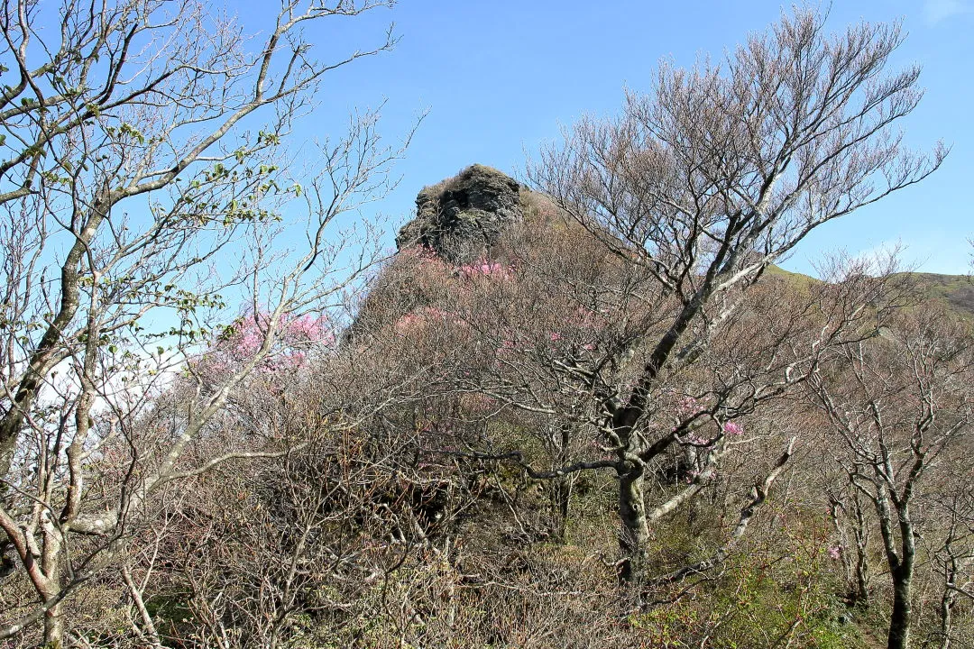 寒風山への近道は前方の岩場に