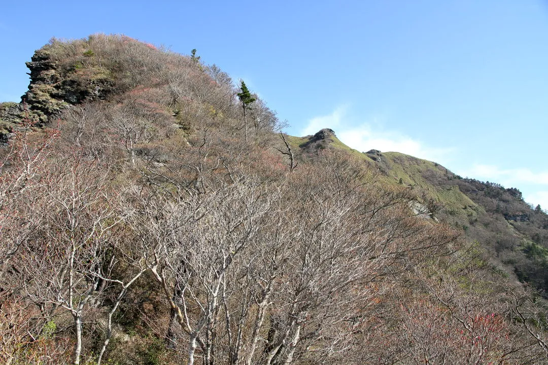 大岩が目前に