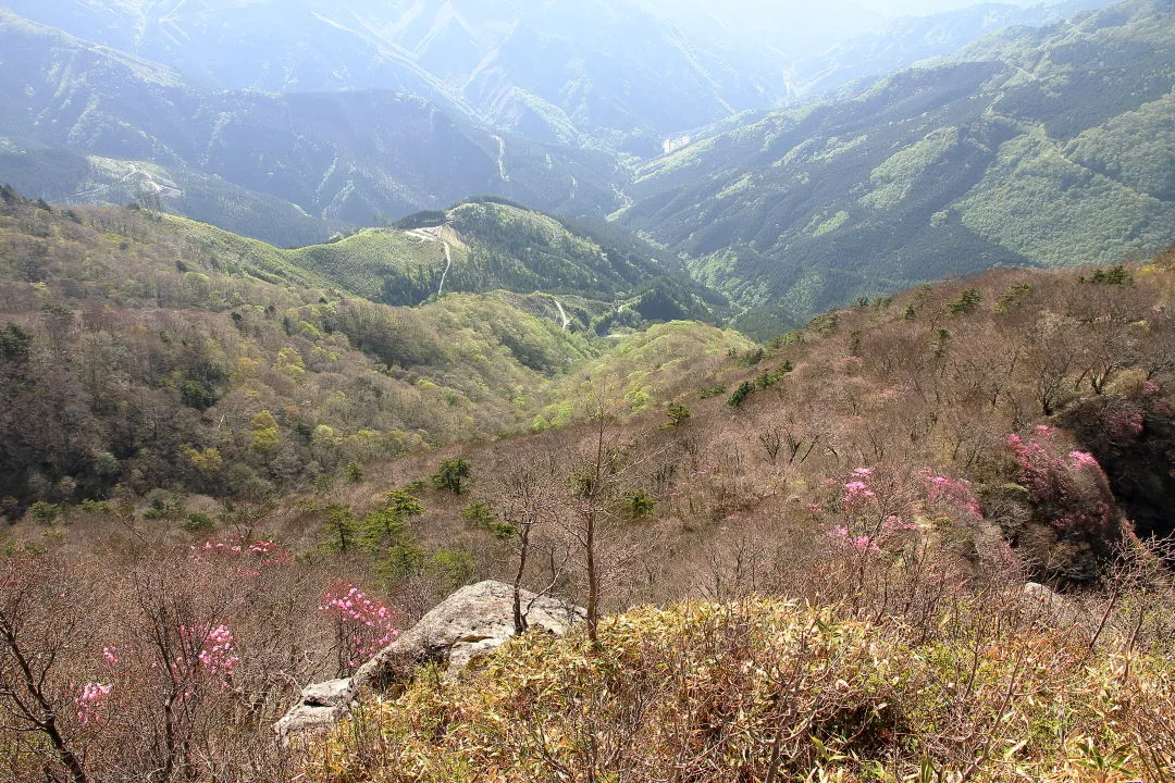 旧本川村方向の眺望