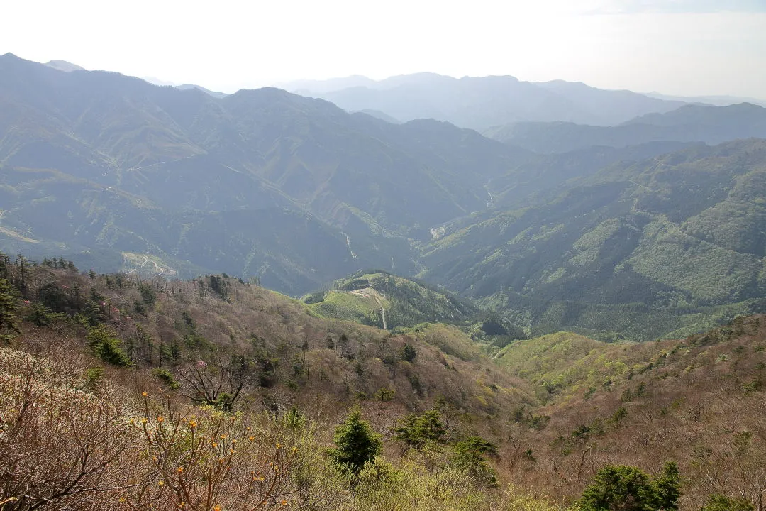 旧本川村方向の眺望