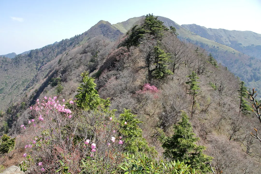 笹ヶ峰への稜線