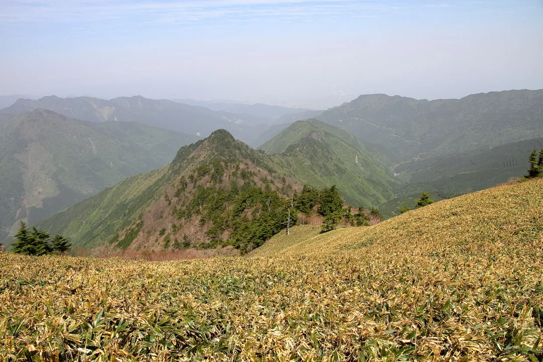 登山道から