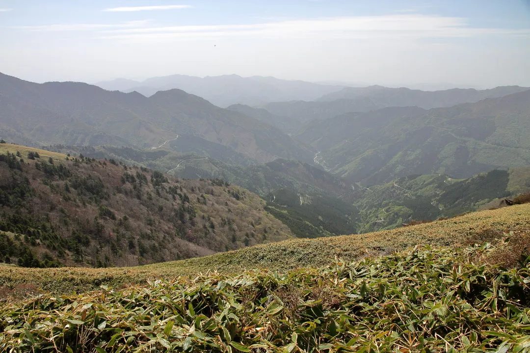 登山道から