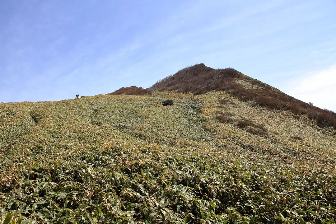 笹ヶ峰は目前