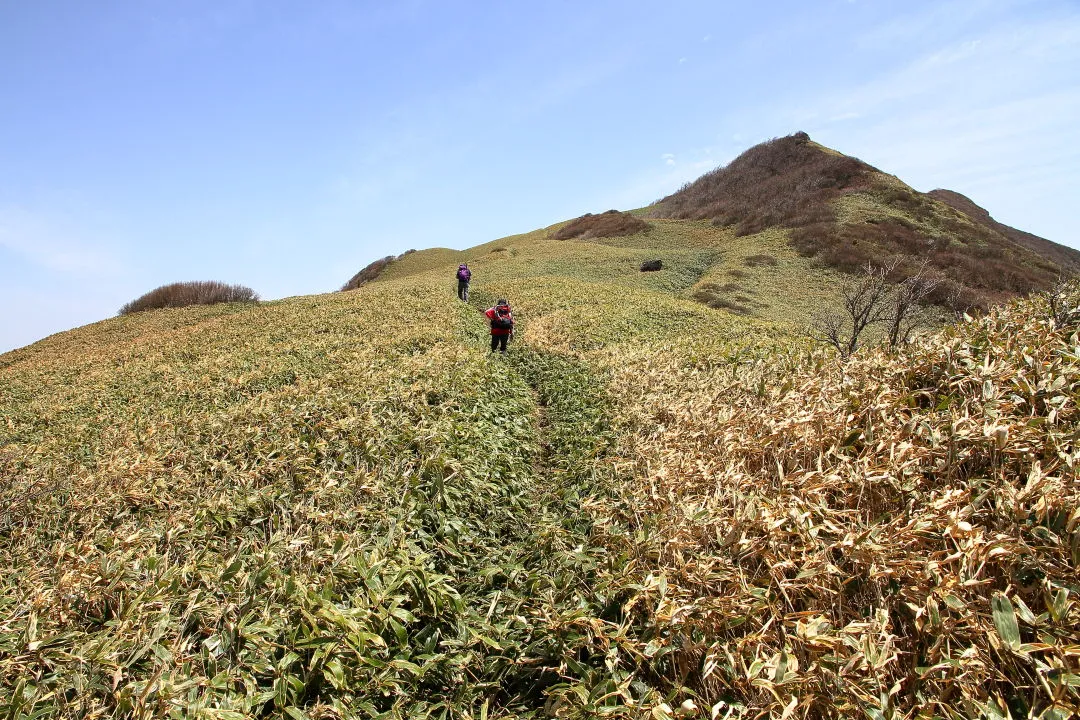 笹ヶ峰へ登る登山者